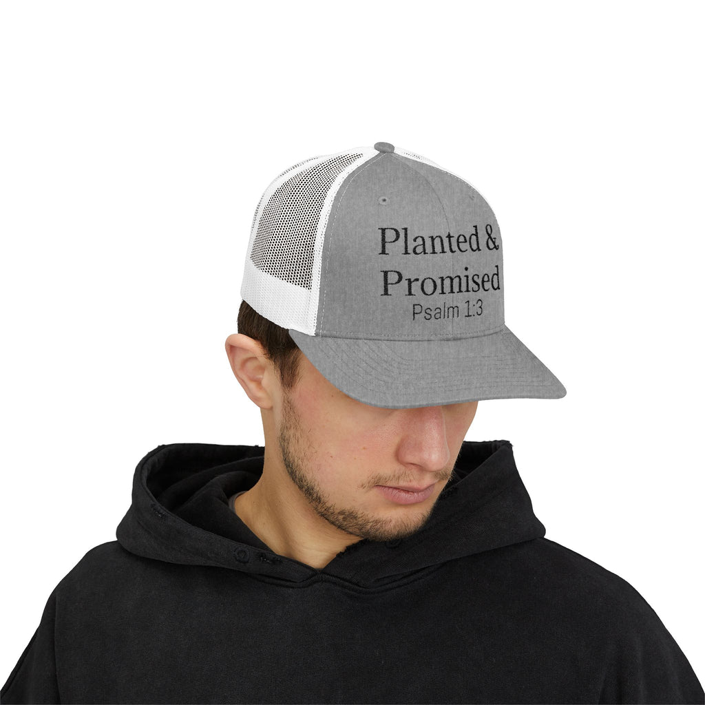 Planted & Promised snapback