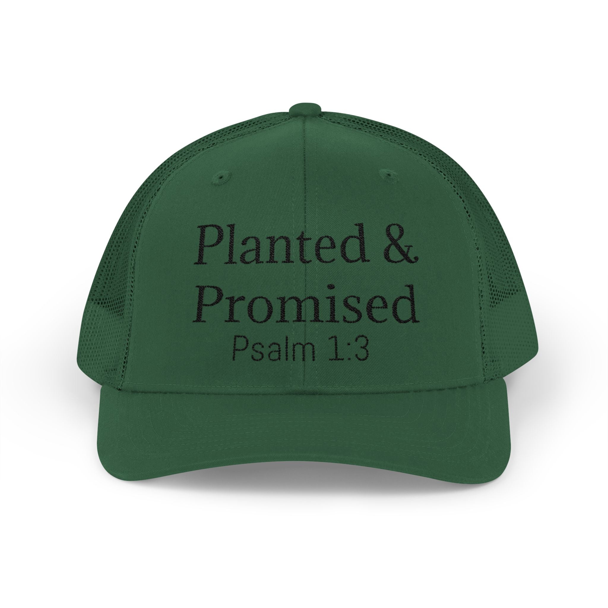 Planted & Promised snapback