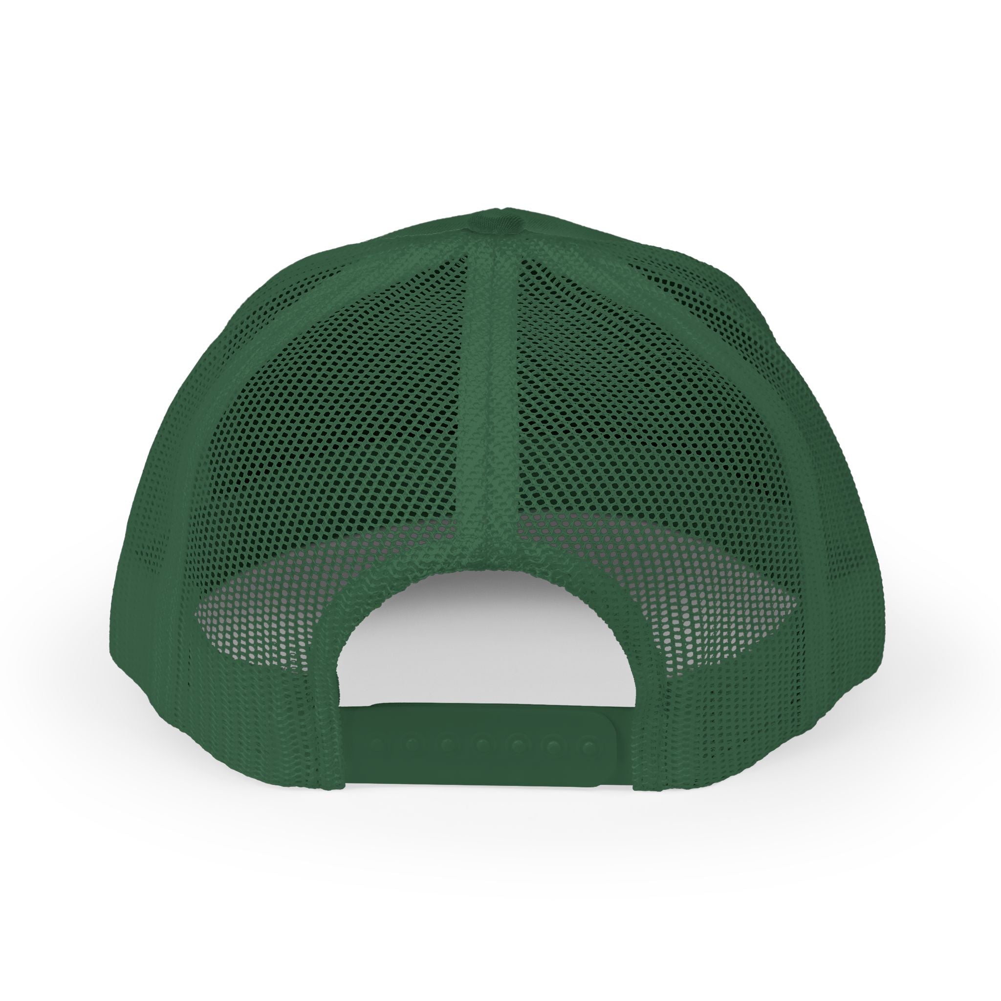 Planted & Promised snapback
