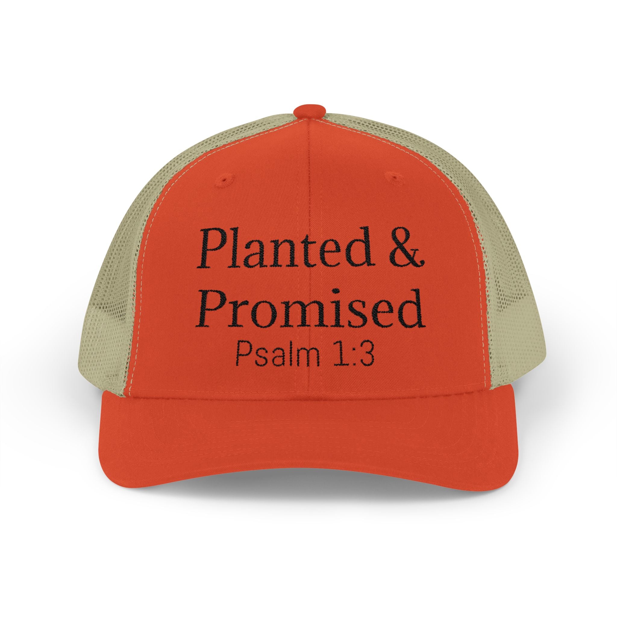 Planted & Promised snapback