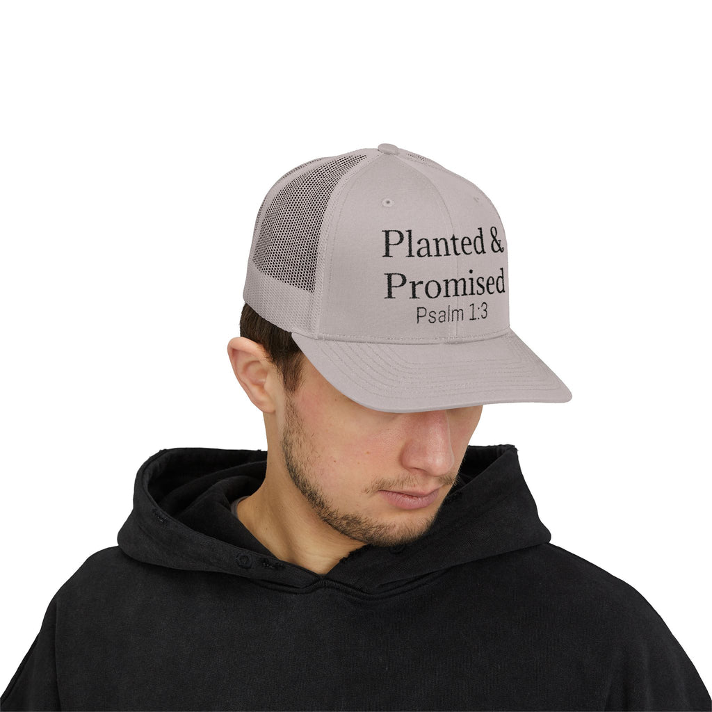 Planted & Promised snapback