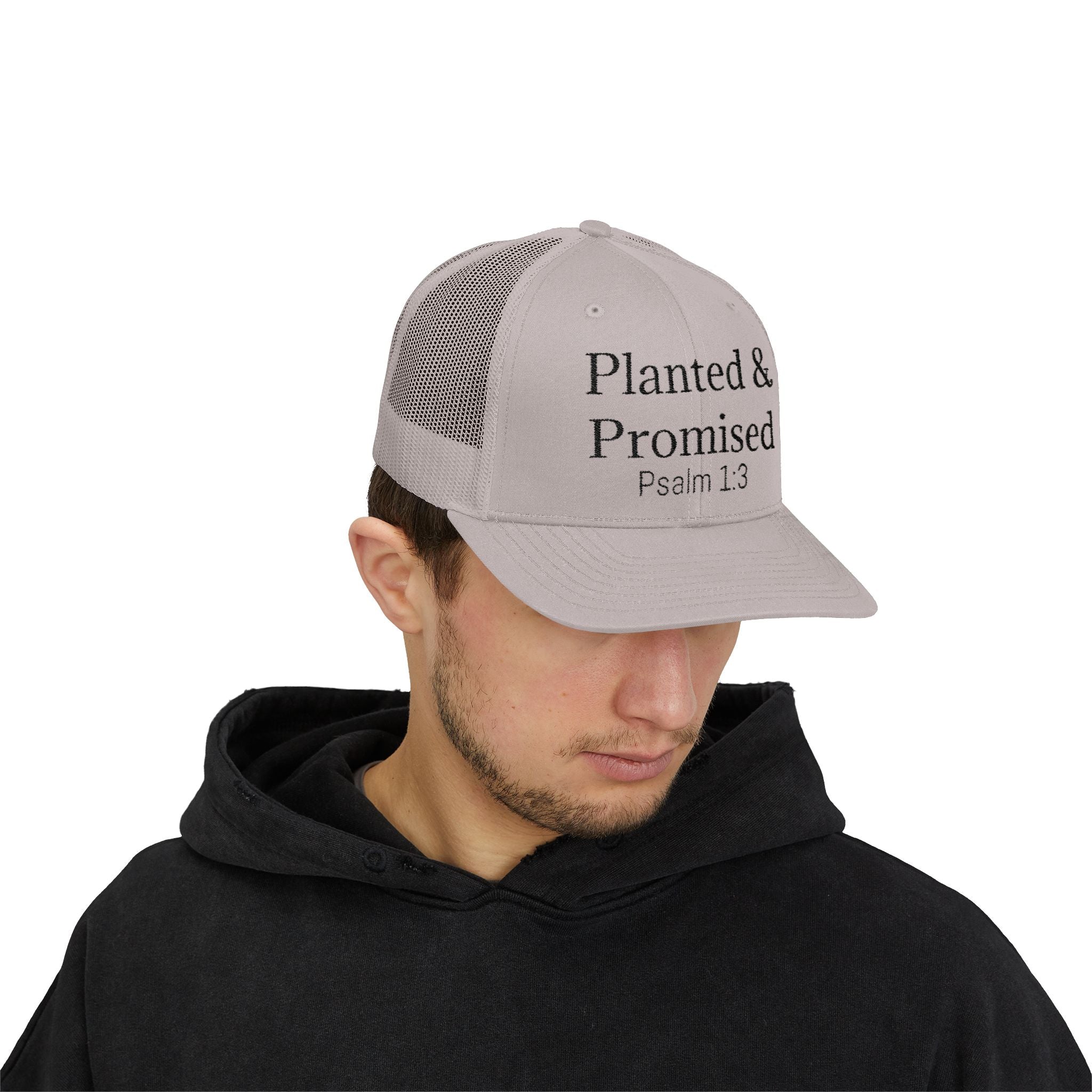 Planted & Promised snapback