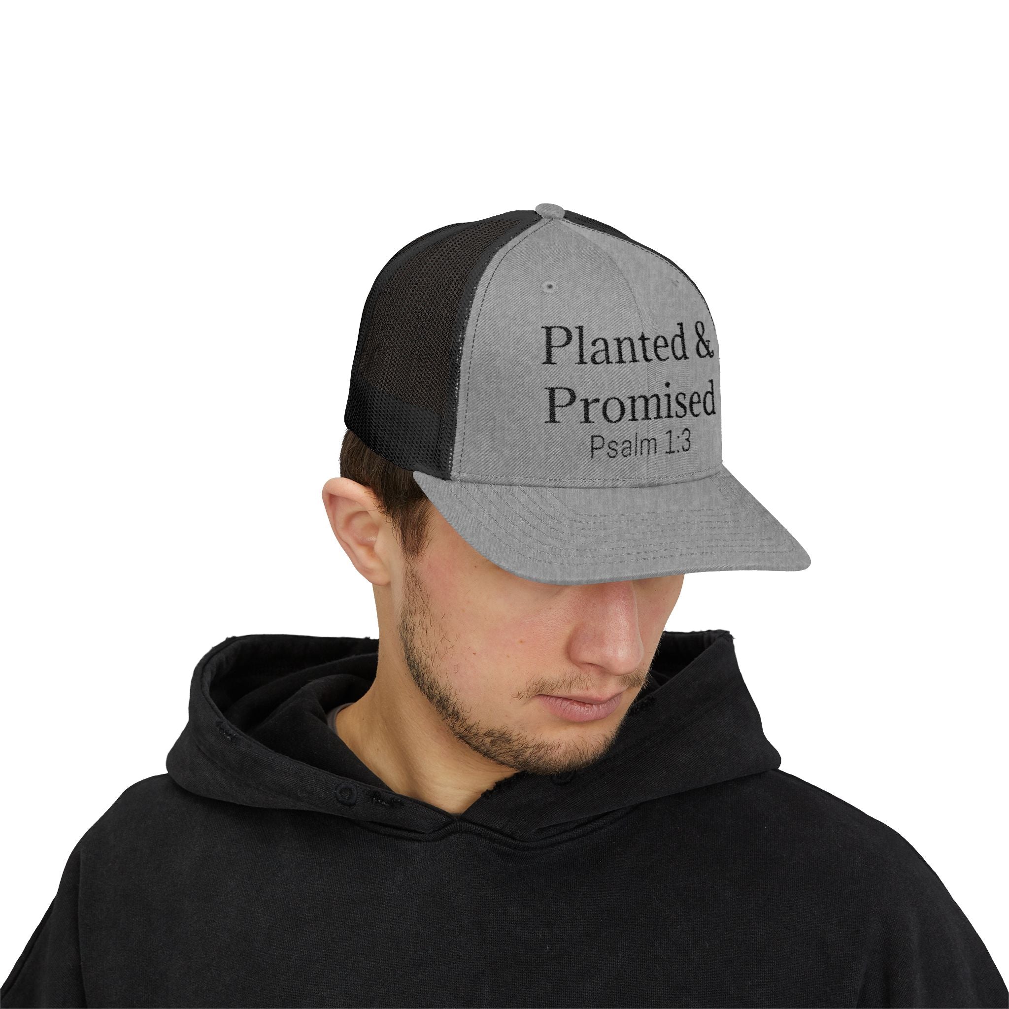 Planted & Promised snapback
