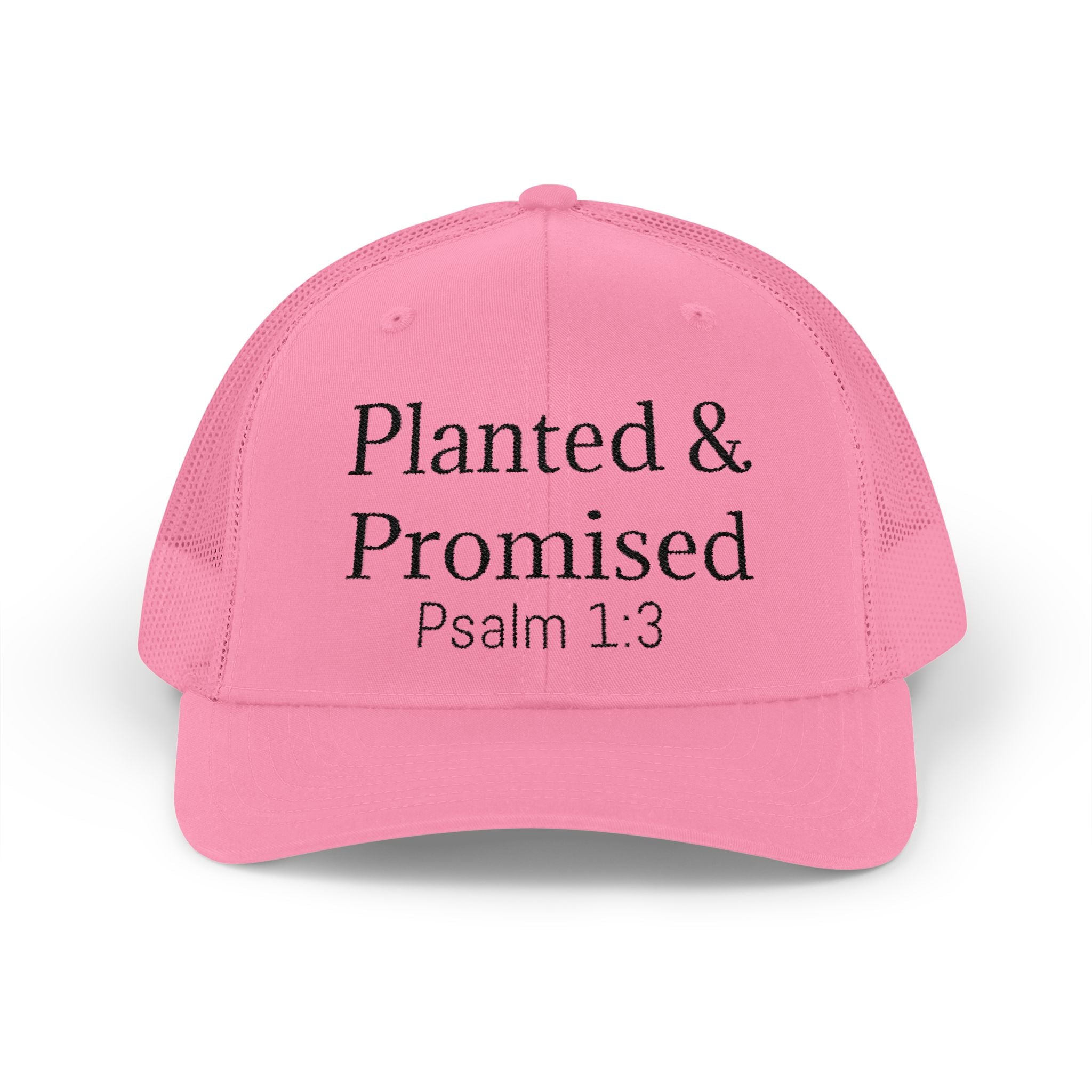 Planted & Promised snapback
