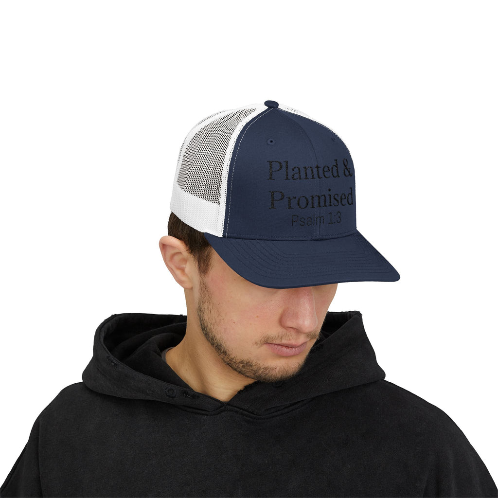 Planted & Promised snapback