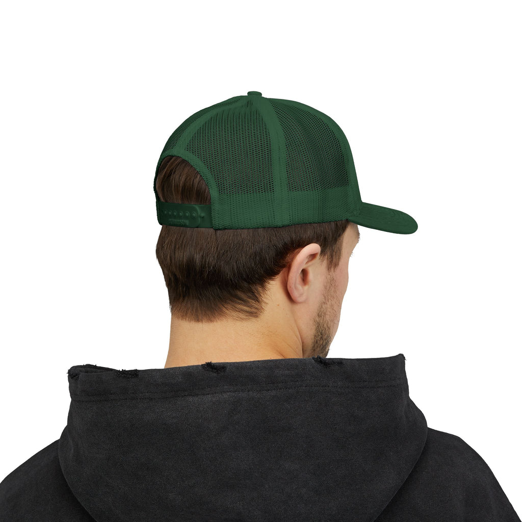 Planted & Promised snapback