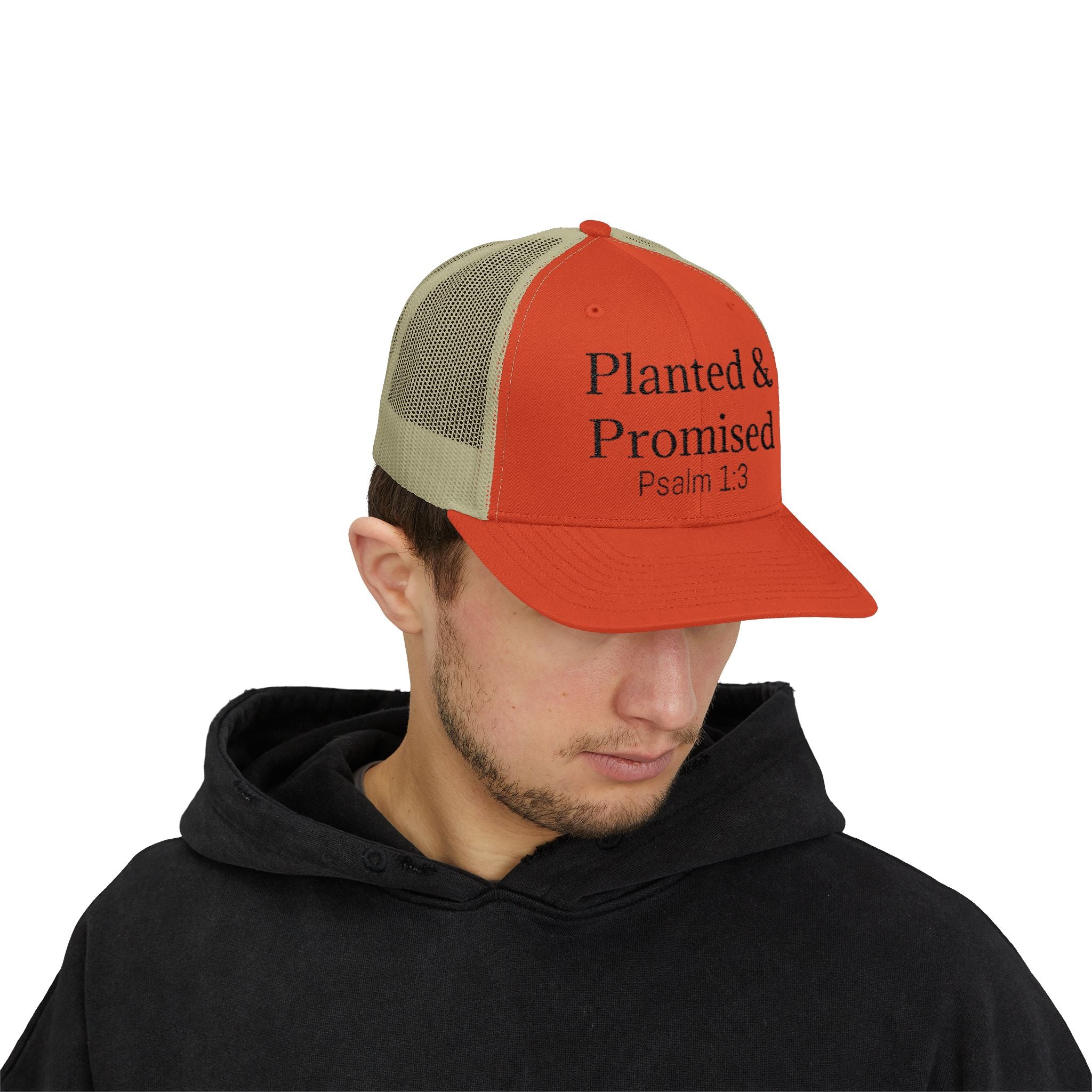 Planted & Promised snapback
