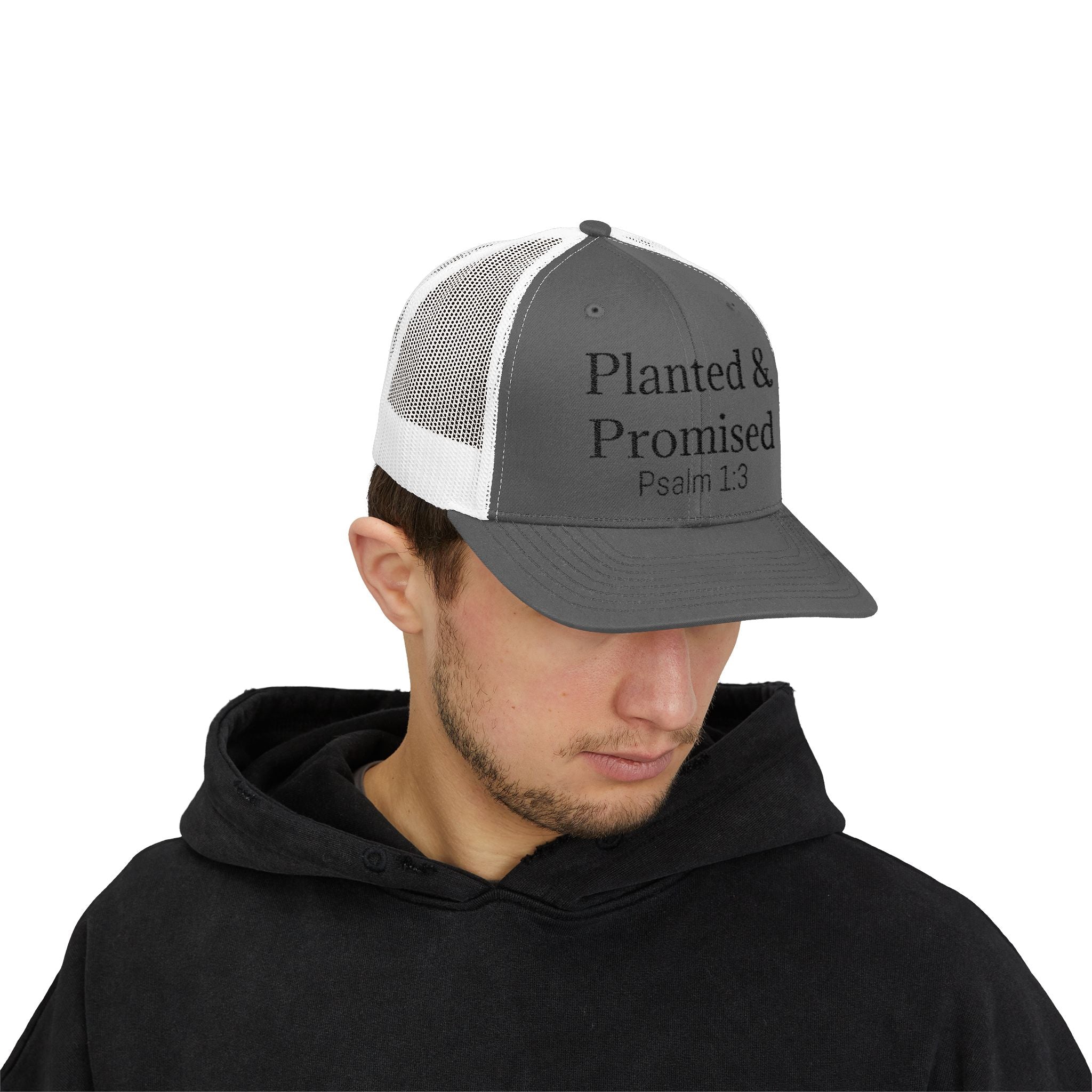 Planted & Promised snapback