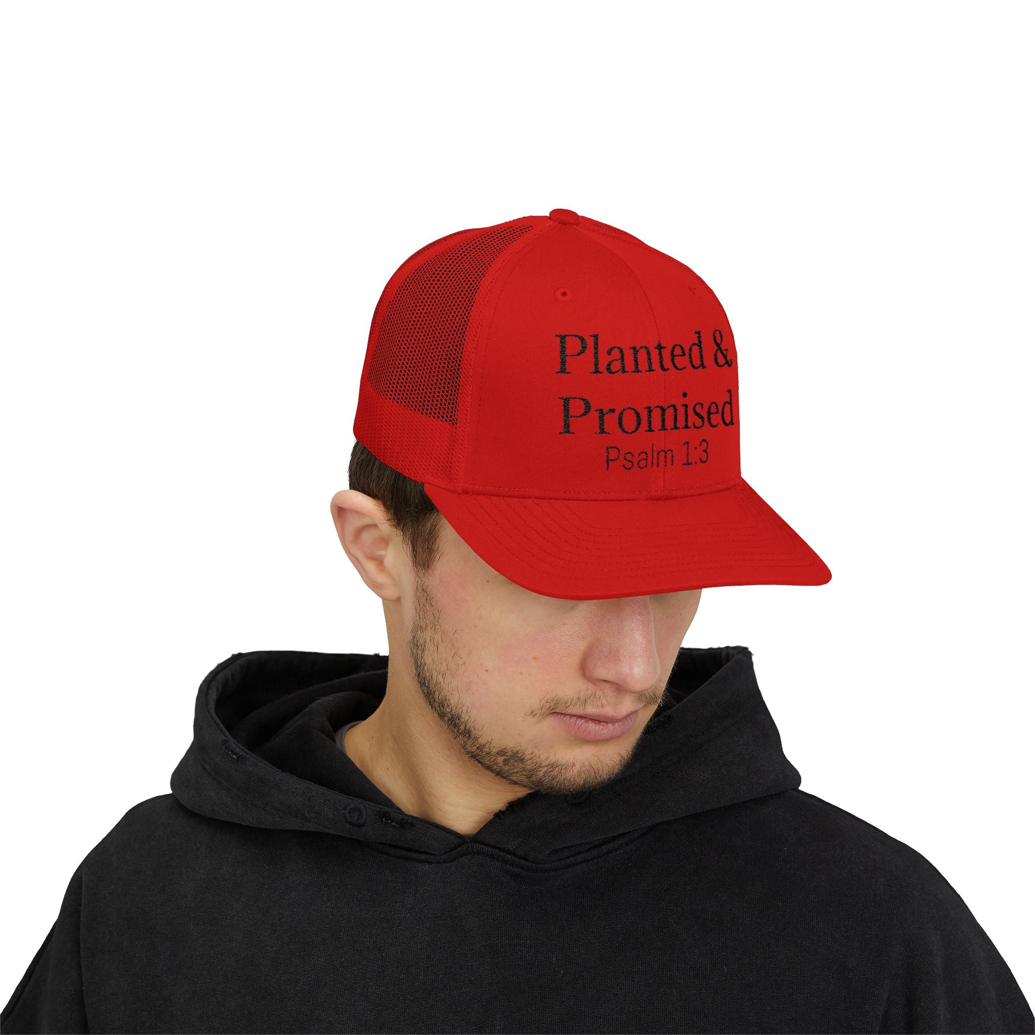 Planted & Promised snapback