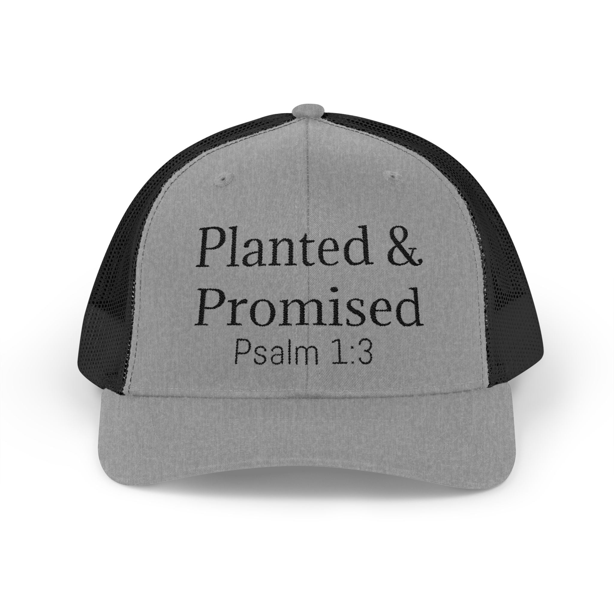 Planted & Promised snapback