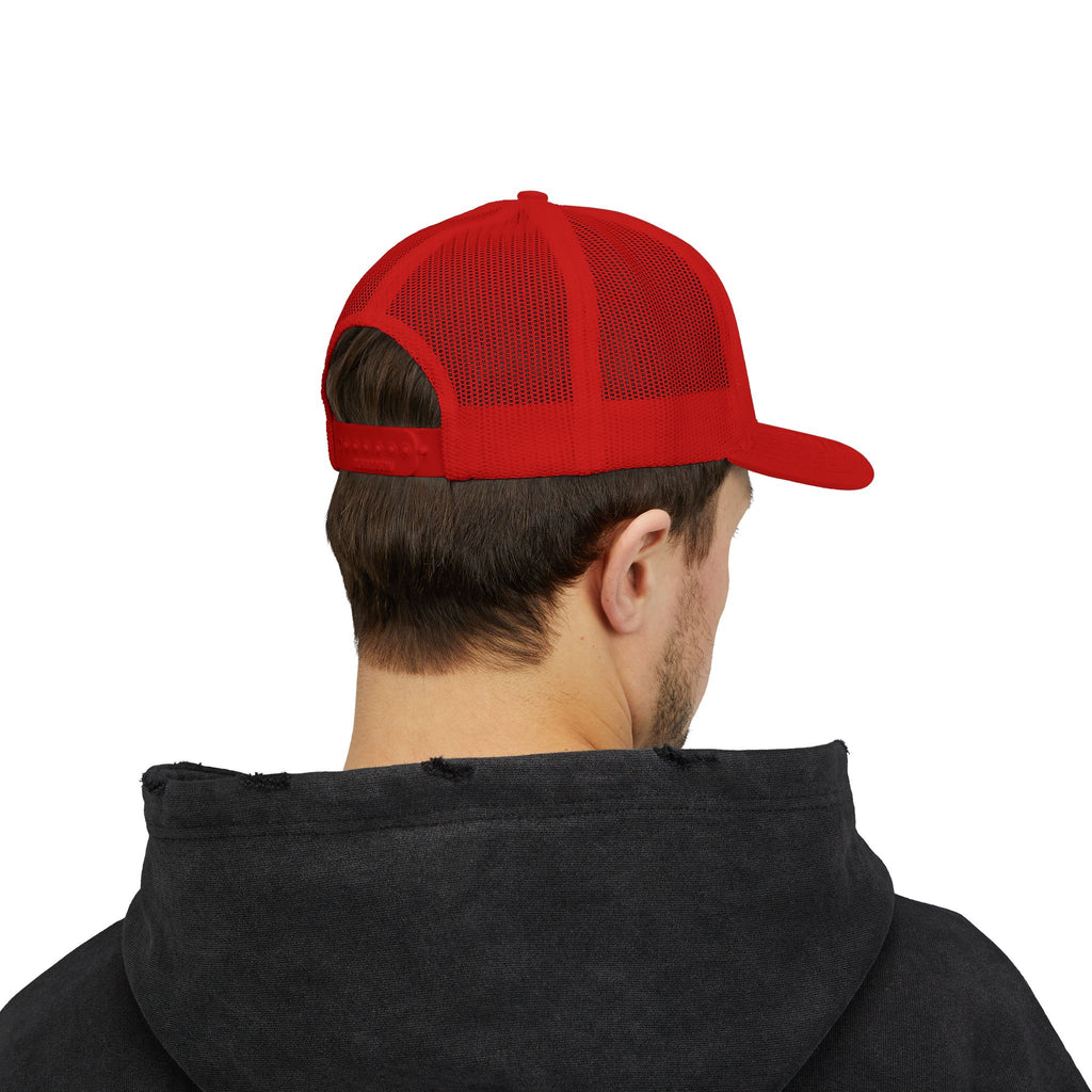 Planted & Promised snapback