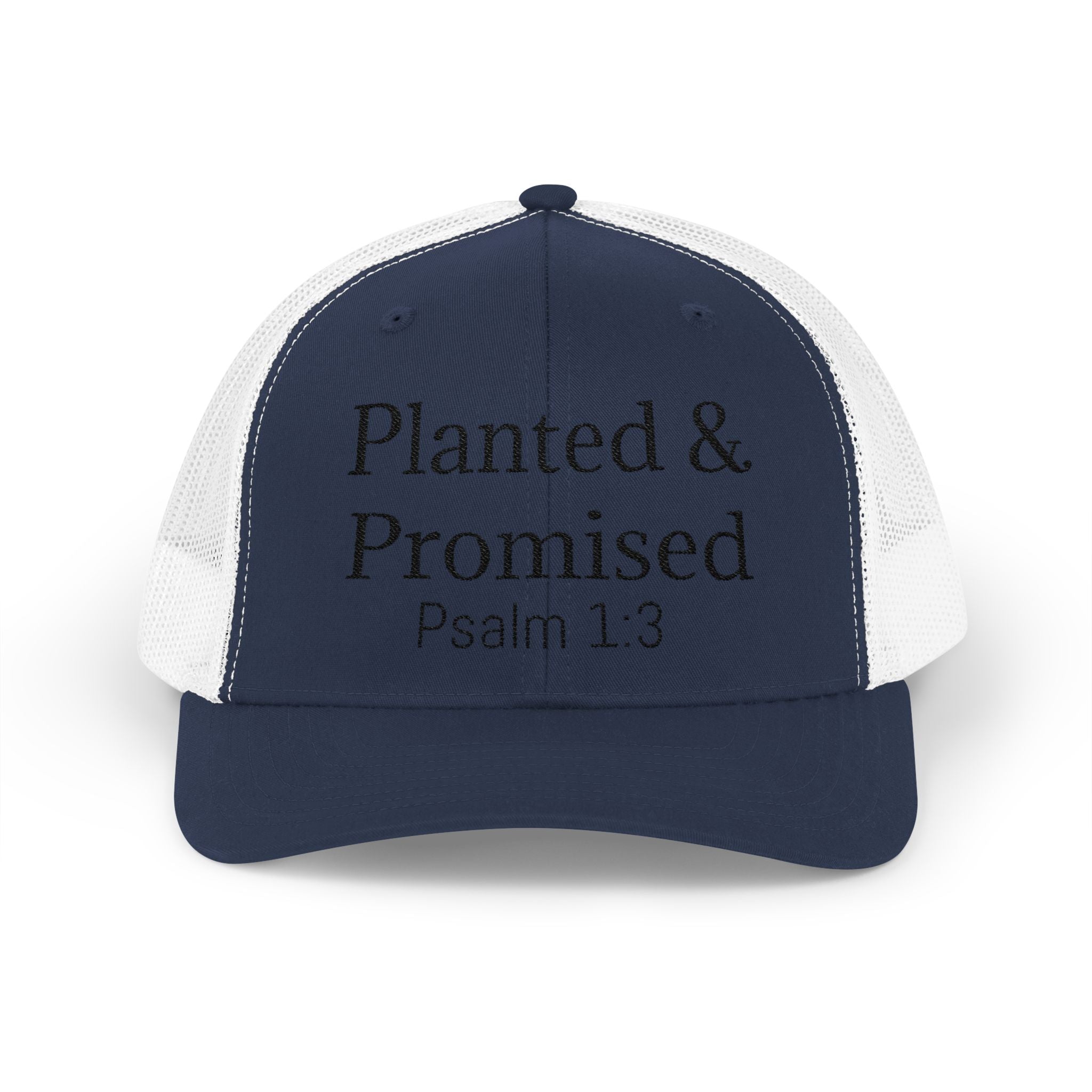 Planted & Promised snapback