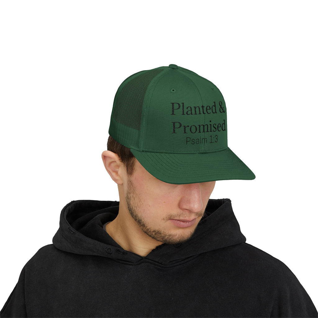Planted & Promised snapback