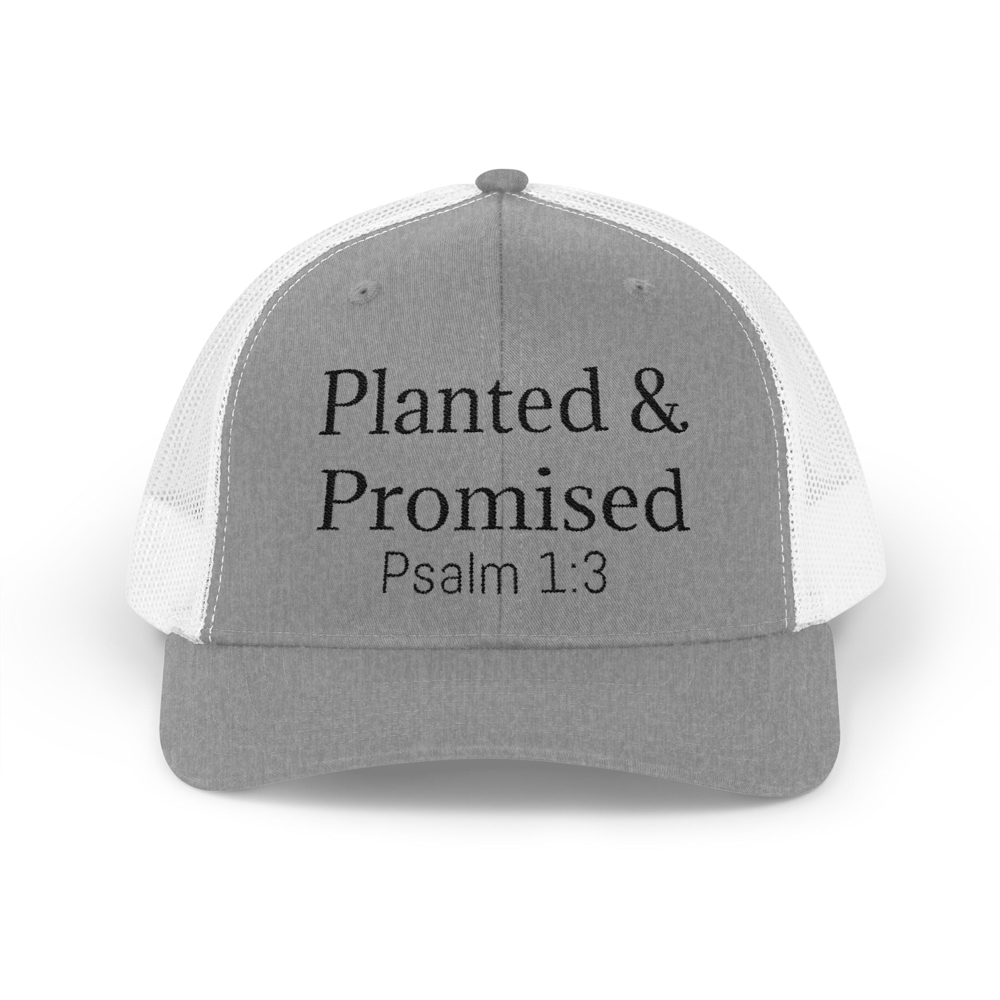 Planted & Promised snapback