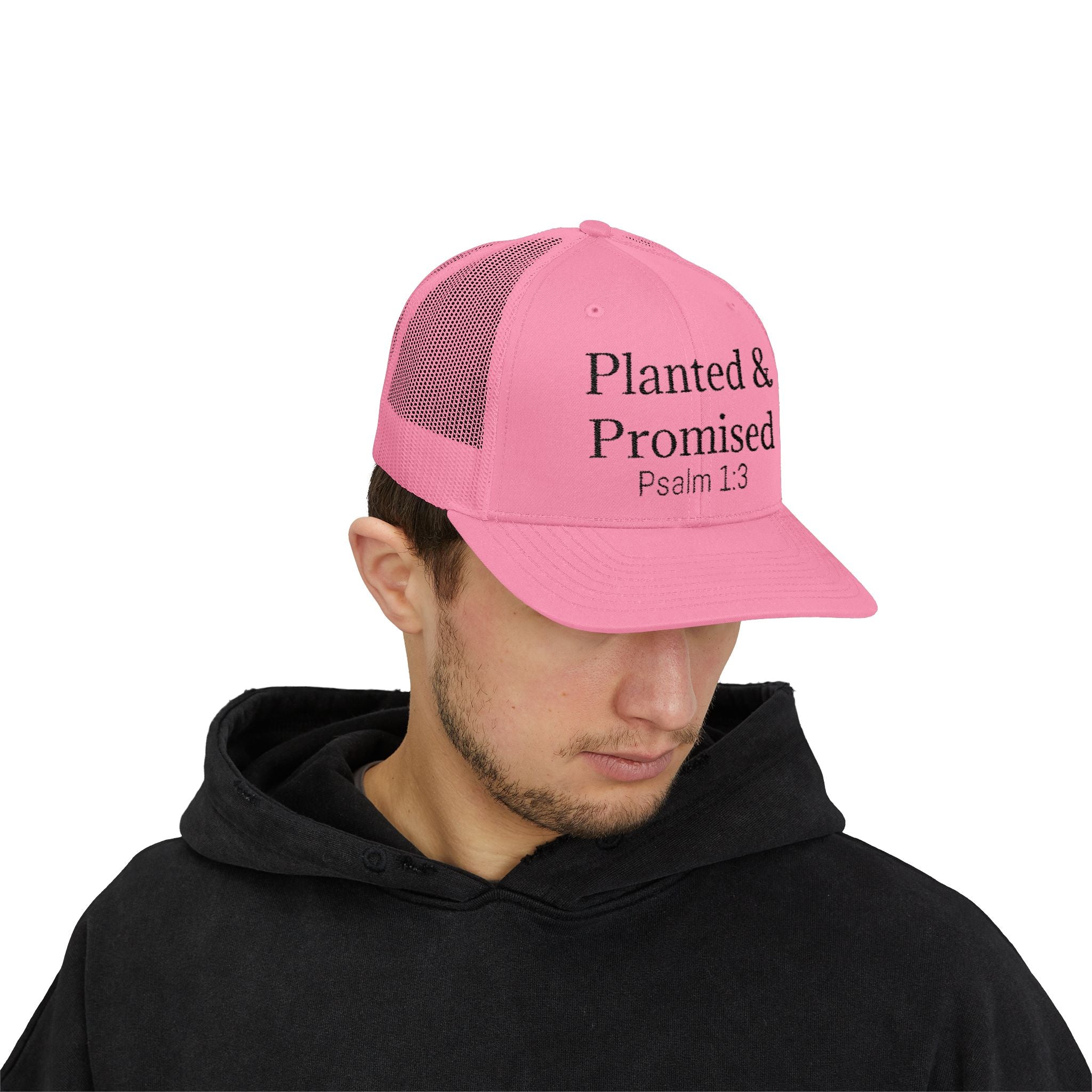 Planted & Promised snapback