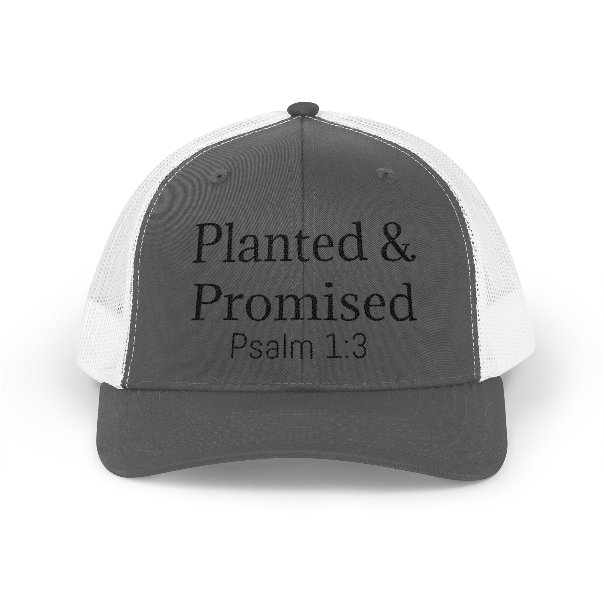 Planted & Promised snapback