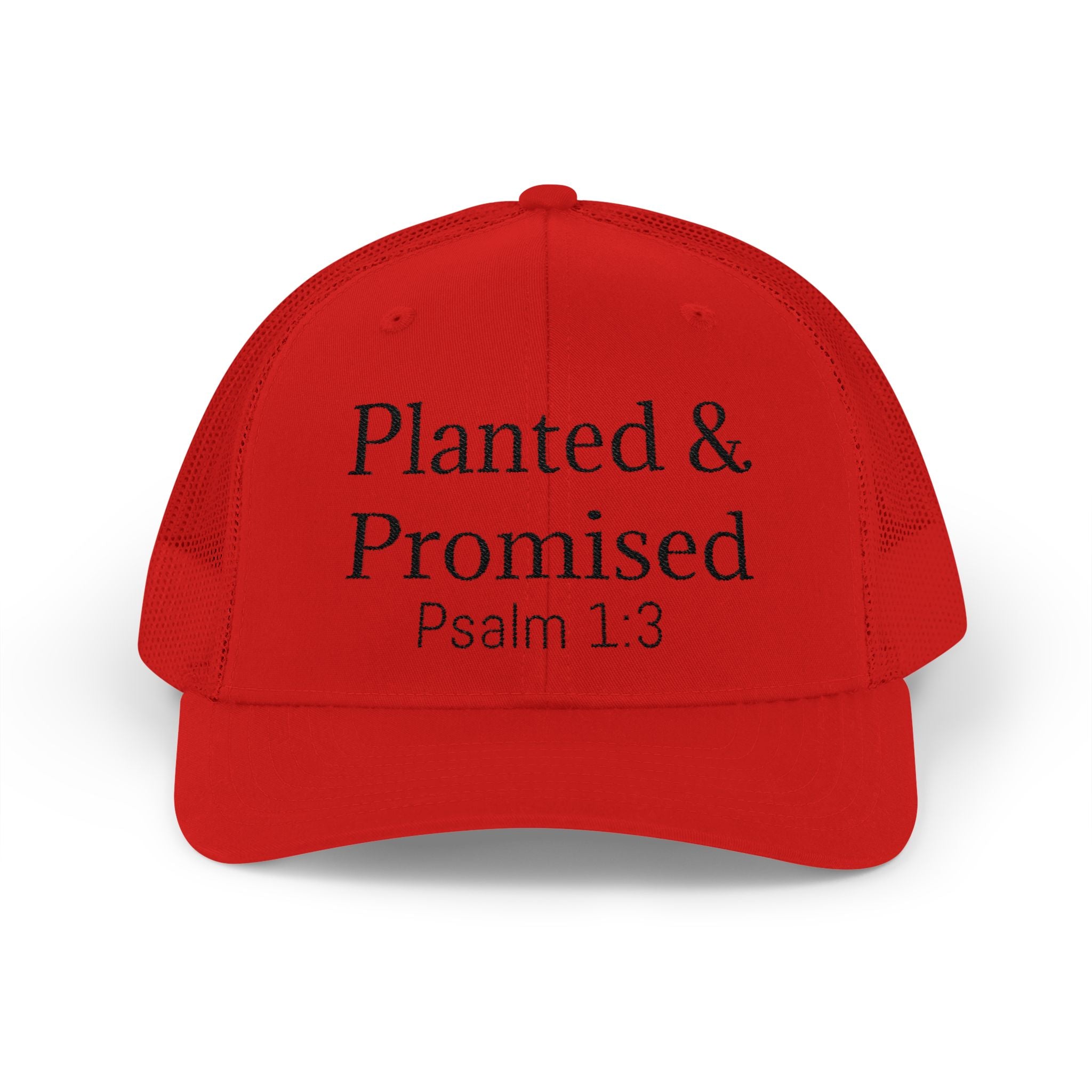 Planted & Promised snapback