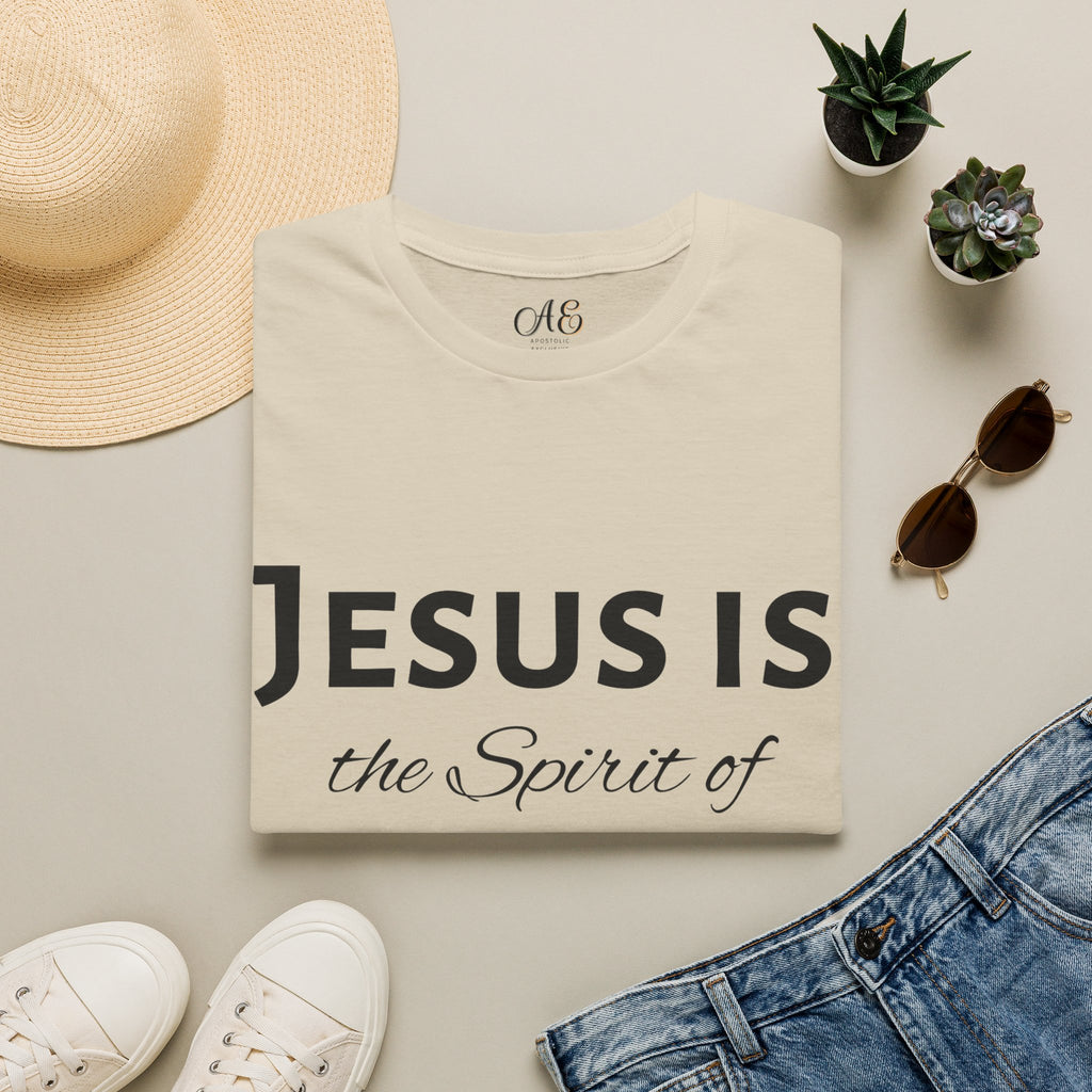 Spirit of 76 - Black Edition Classic Fit T-shirt