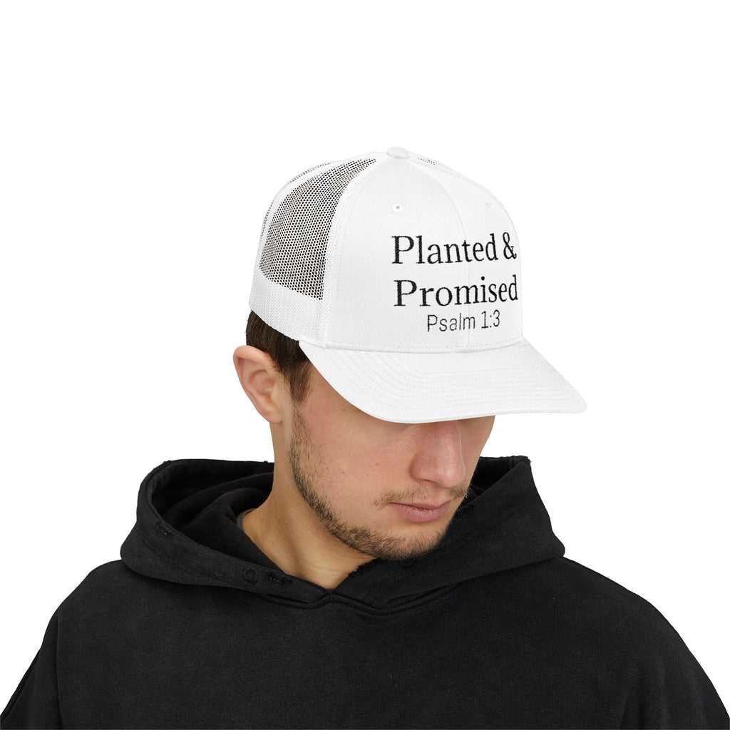Planted & Promised snapback