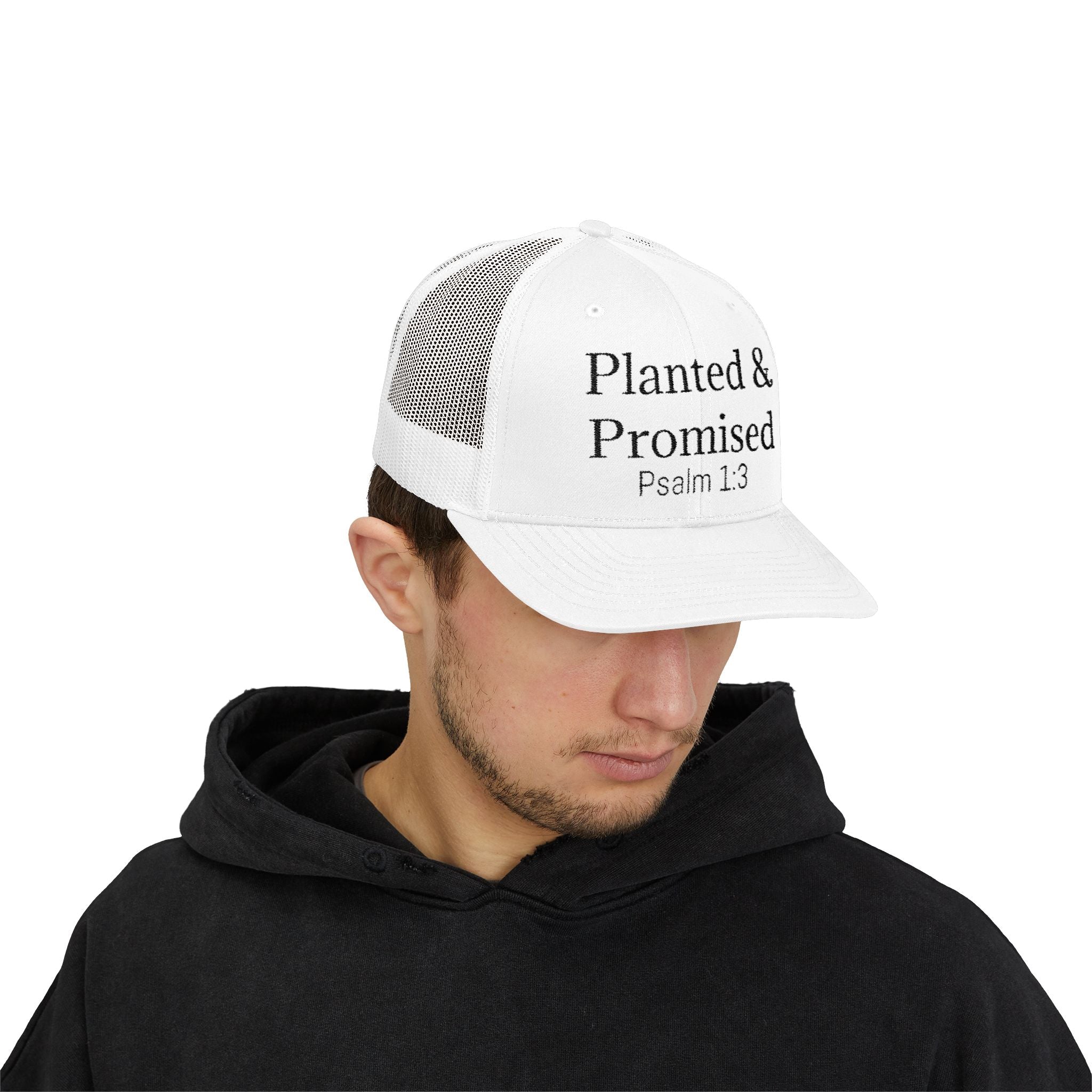 Planted & Promised snapback