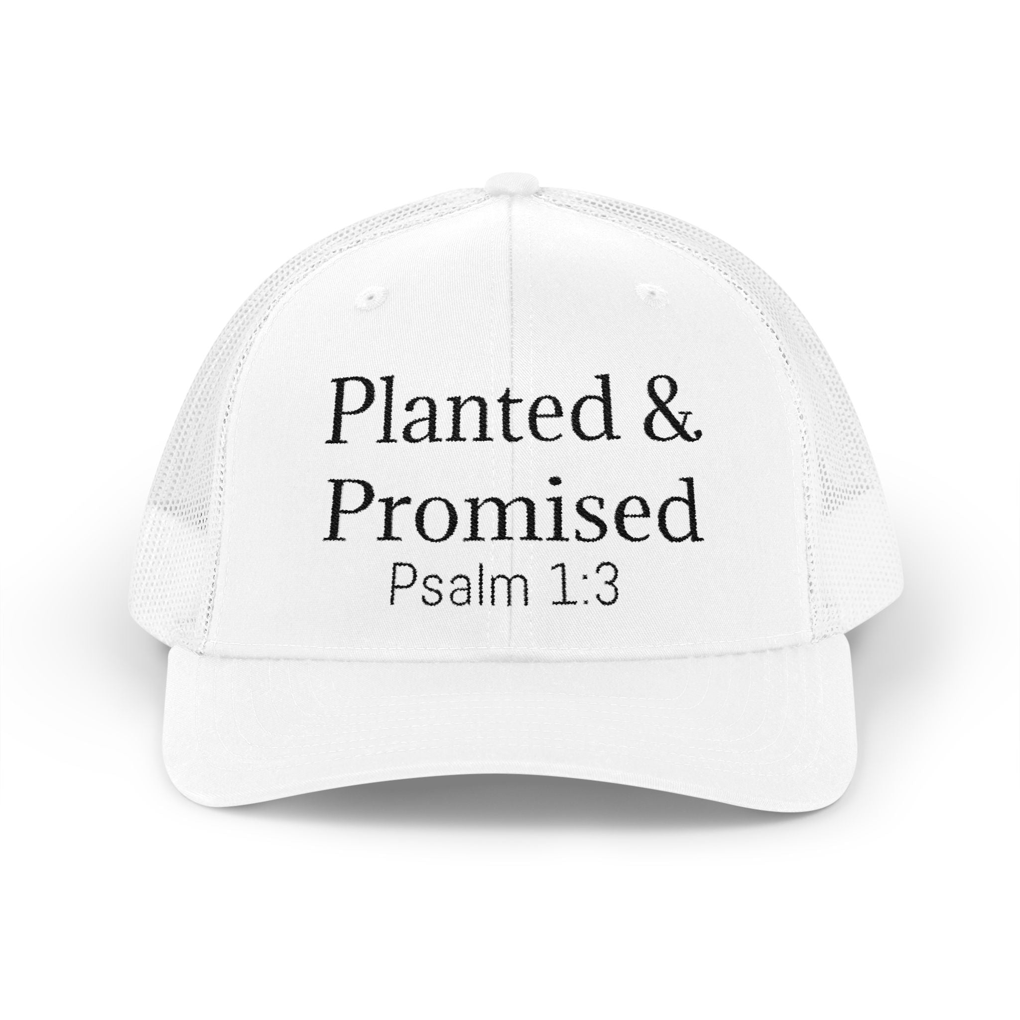 Planted & Promised snapback